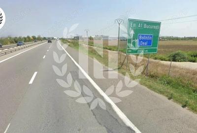 Teren Industrial Hale | A1 Bolintin Deal | Bucure?ti-Pite?ti Km 25 - 1