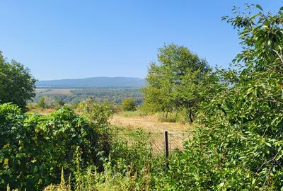 Casă de vânzare în mediul rural – liniște, natură și confort - 17