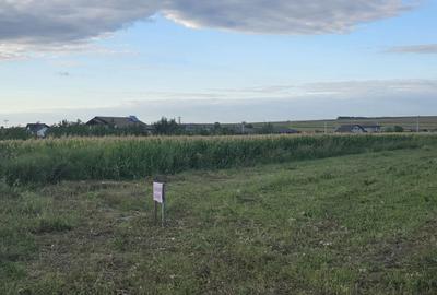 Spațiu comercial, în Dancu - 2