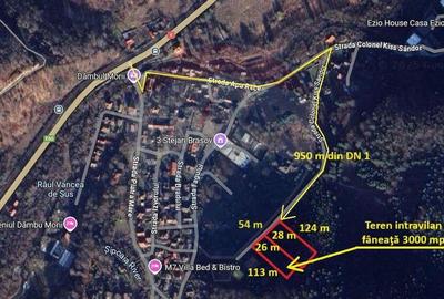 Teren de 3000 mp, în Dâmbul Morii - 15