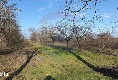 Teren de 2300 mp, în Vânători - 3