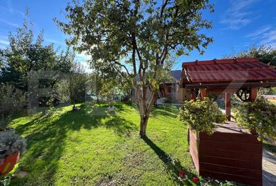Proprietate Versatila - zona Strazii Closca - 14
