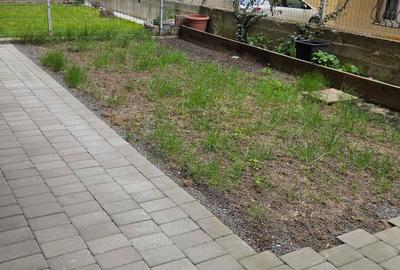 Apartament cu 2 camere decomandat în Mănăștur - 2