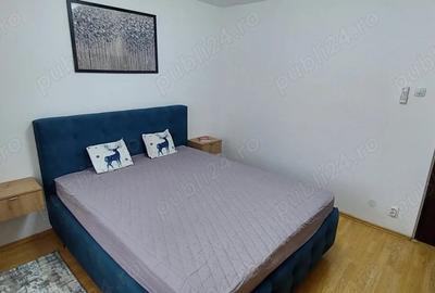 Apartament cu 2 camere decomandat în Calea Călărașilor - 3
