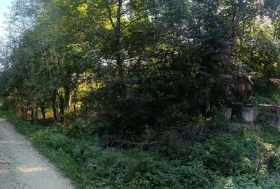 Casa de vanzare ideala pentru cei care cauta liniste, aer curat si confort rural - 2