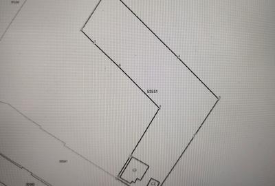 Casă cu 2 camere în Sângeorgiu de Mureș - 4