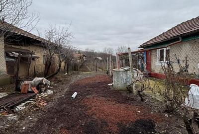 Casă cu 3 camere în Ceptura - 3