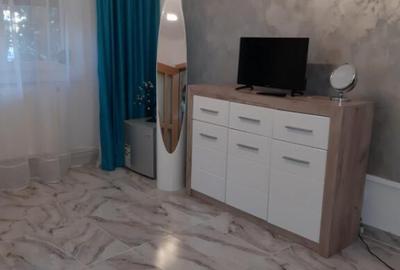Apartament cu 3 camere decomandat, mobilat în Radu Negru - 14