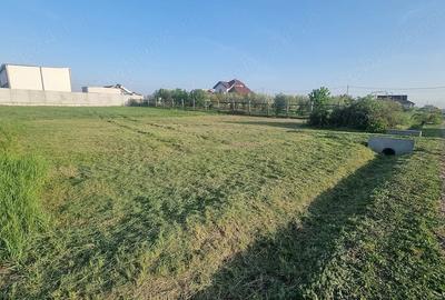 Teren de 801 mp, în Frumușeni