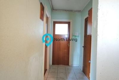 Apartament cu 3 camere decomandat în Ozana - 10