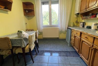 Apartament cu 2 camere decomandat, mobilat în Șagului - 10
