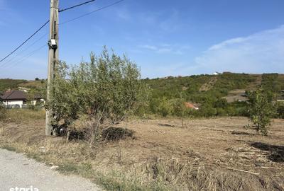 Teren de 3280 mp, în Central