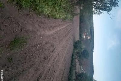 Casa de vanzare Laslau Mare jud Mure? - 2