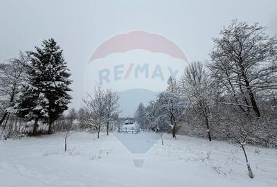 Teren de 4193 mp, în Breb - 1