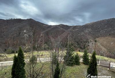 Oportunitate unica! 5ha + 2 cabane de vacanta in Valea Ierii - 16