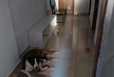 Particular vand apartament 3 camere Cartierul Latin 80mp - 9