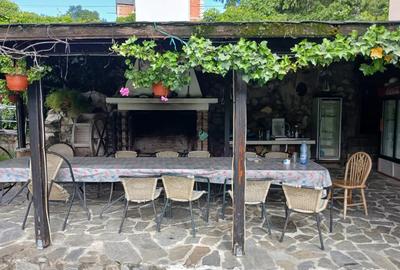 Teren de 10208 mp, în Eșelnița - 2