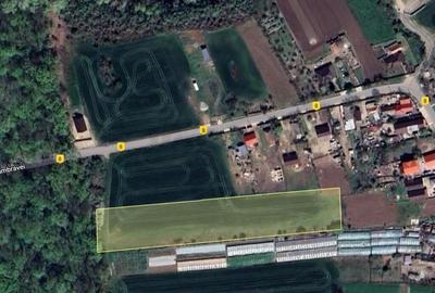 Teren situat langa Padure l Balta Neagra - 13