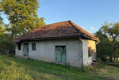 Proprietate la țară cu teren generos - 14
