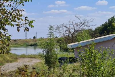 Casă cu 5 camere cu Teren 794 Mp în Livedea - 3