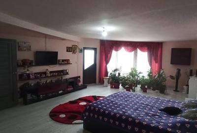 Casă spațioasă lângă Dunăre | Piscina | 1280m2 - 2