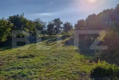 Casă cu 2 camere cu Teren 2400 Mp în Central - 5