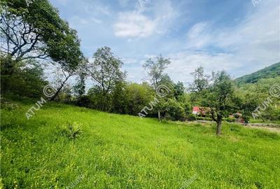 Teren intravilat de 1811 mp situat in Sibiel judetul Sibiu - 10