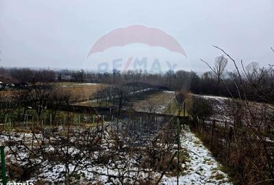 Spațiu comercial, în Rocna - 7