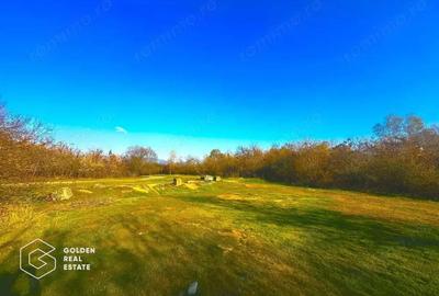 Teren intravilan 71.000mp, Barsa, Renumita Fabrica de caramida si casa 4 camere - 5