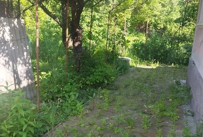 Casă cu 3 camere cu Teren 530 Mp în Central - 3