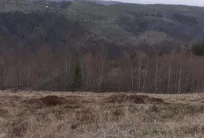 Teren de vanzare ideal pentru cabana in Maguri Racatau - 5