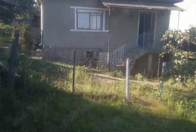 Casa la tara Hida Salaj - 1