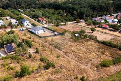 Vanzare teren intravilan 1,000mp Strada George Cosbuc/ Peris - 7