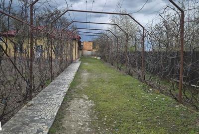 Teren de 6500 mp, în Adunații-Copăceni - 2