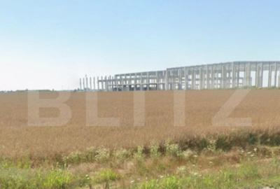 Oportunitate Investitie Teren Deschidere 20mp ,Carcea, Zona - 1