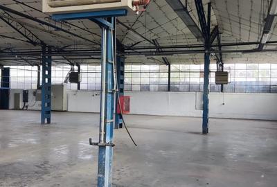 Hale + platforma betonata mp Giurgiului ( Zetari ) - 2