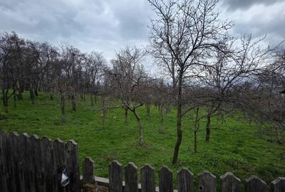 Casă cu 2 camere în Fălticeni - 4
