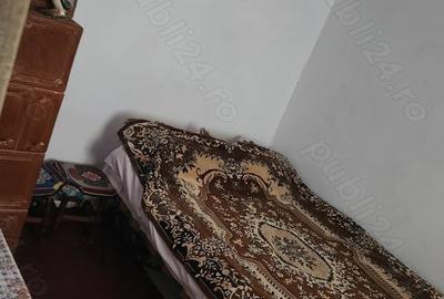 Casă cu 4 camere în Frumoasa - 10