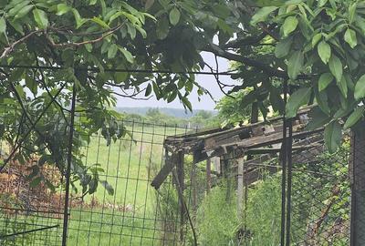Casă cu 3 camere cu Teren 2000 Mp în Tărtășești - 1