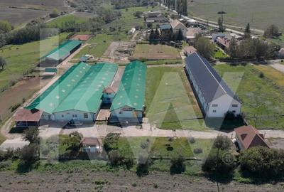 Proprietate industriala cu hale moderne, teren generos si acces Autostrada A1 - 19