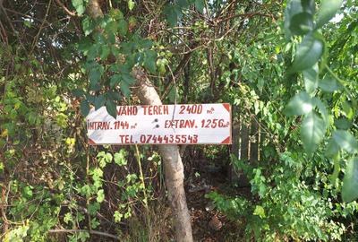 Teren în Central - 1