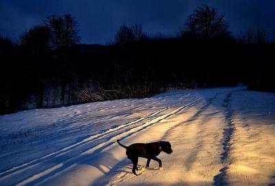 Teren de 5000 mp, în Șinca - 9