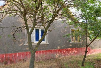 Casă cu 2 camere cu Teren 1400 Mp în Secusigiu - 4