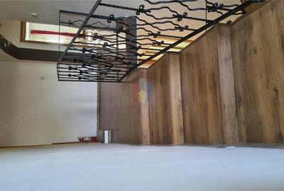 Constructie 2011 VILA P+1 Mobilata Centru (Rahovei-C Galati) 250mp utili 300mp teren - 15