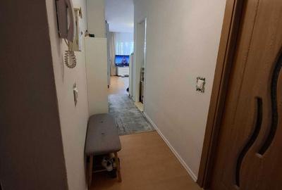 Apartament cu 2 camere nedecomandat în Tilișca - 8