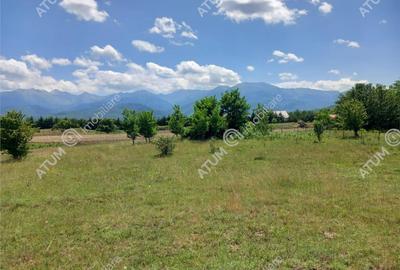 Teren intravilan 5000 mp pe Valea Avrigului, Sibiu - 5