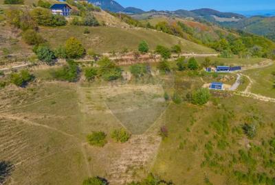 Teren de 6014 mp, în Holbav - 6