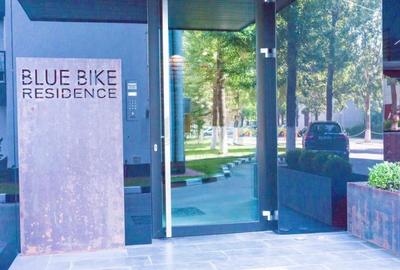 REA1019300 Studio Blue Bike Mamaia - 3