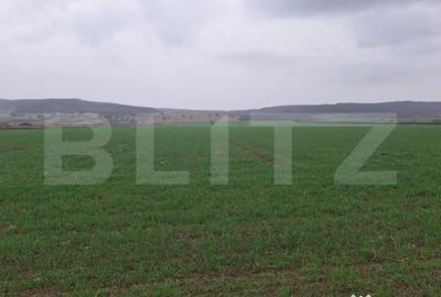 Teren de 10000 mp, în Central - 1