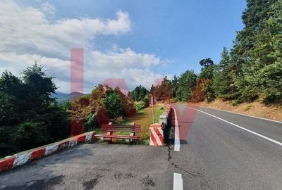 Teren cu priveliste superba si deschidere la drumul de Poiana Brasov - 14